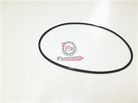 ANELLO O-RING GTS / MEDLEY