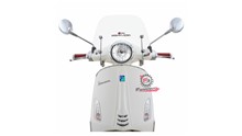 CUPOLINO VESPA PRIMAVERA 2014 TRASP.