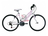 BICI JAUNTY 24 MTB DONNA 18V BIA/ROS