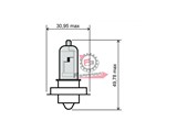LAMPADA 12V 15W P26S ALOGENA BIANCA