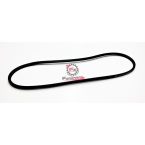 CINGHIA BRAVO CON VARIATORE 130937