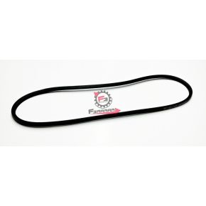 CINGHIA CIAO SENZA VARIATORE 1029052