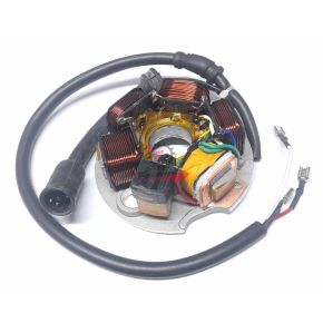 STATORE VESPA 50 FL APE 50 TM 3 POLI OEM 497654-199495V (NO GARANZIA)