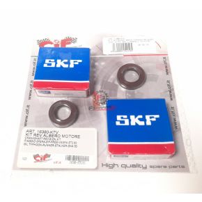 KIT REVISIONE BANCO PIAGGIO 50 SCOOTER CUSCINETTI SKF + PARAOLI IN VITON