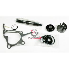 159.AA00814 KIT POMPA H2O HONDA FORESIGHT 250 4T