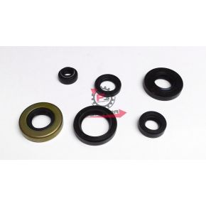 PARAOLI MINARELLI AM345/6