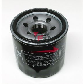 FILTRO OLIO HF191 CHAMPION COF091 TRIUMPH DAYTONA 600-955