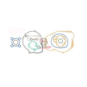 653.100680080 GUARNIZIONI MOTORE MINARELLI AM6 (SR