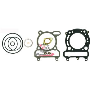 100689160 GUARNIZIONI MAJESTY 250 96/01 (SR)