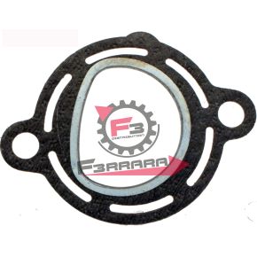 653.100705320 GUARNIZIONE SCARICO APE MP601/TM703