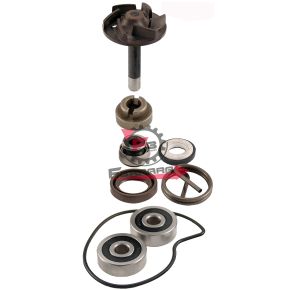 100110220 KIT POMPA H2O BEVERLY 250 04/05