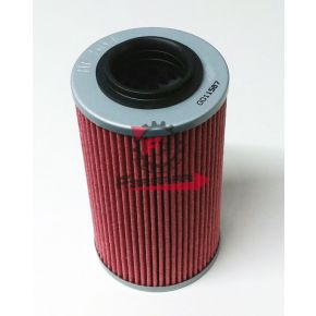 201.E1756400 FILTRO OLIO HF564 RSV R1000 04