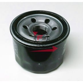 201.E1798500 FILTRO OLIO HF985-HF147 T-MAX 500