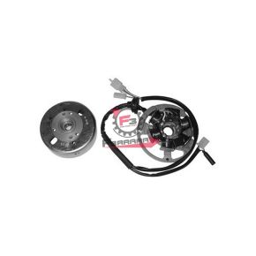 701.3196844 VOLANO MALAGUTI F10-F12 COMPLETO