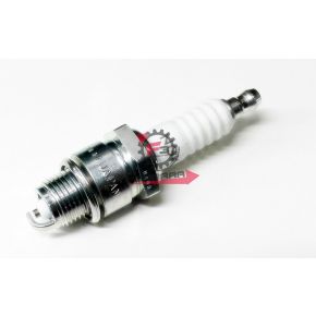 201.N1847070 CANDELA BP7HS NGK