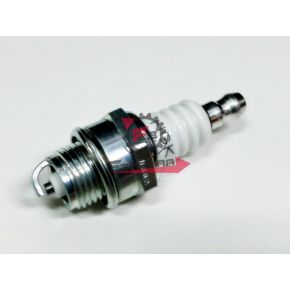 201.N1901060 CANDELA BPM6A NGK (7021 A)