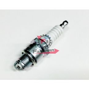 201.N2147080 CANDELA BPR8HS NGK (B)