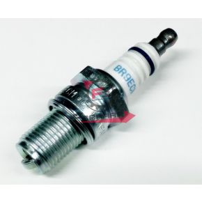 201.N2412090 CANDELA BR9ECM NGK (B)