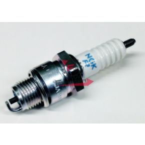 201.N2448080 CANDELA BR8HSA NGK (B)
