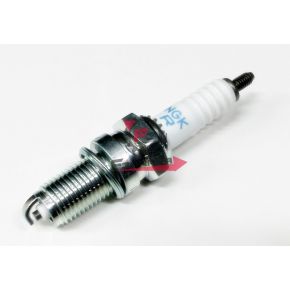 201.N4407069 CANDELA DPR6EA-9 NGK (B)