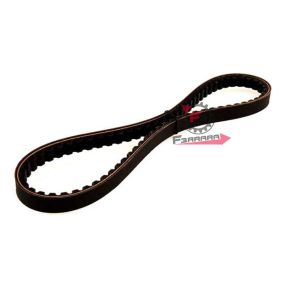 901.CT040 CINGHIA RUNNER-NRG RST-SR R 50