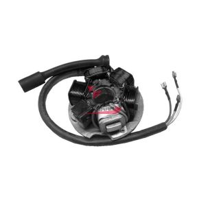 554.1199495 STATORE VOLANO APE 50 3 FILI