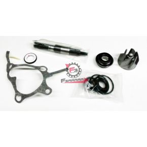 209.5506508 KIT REVISIONE POMPA H2O FORESIGHT