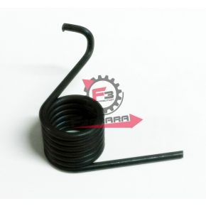 253.80244 MOLLA CAMMA FRENO POSTERIORE