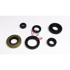 PARAOLI MOTORE MINARELLI AM345 (SR)