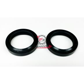 455.ARI080 PARAOLI FORCELLA 30.40.7/8 (SR)