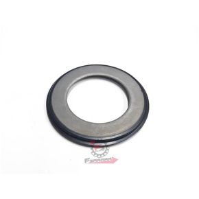 PARAPOLVERE STERZO APE TM 703