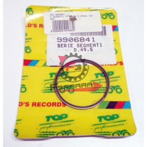 456.9906841 SEGMENTI MINARELLI AM 345 D 49,5 (SR