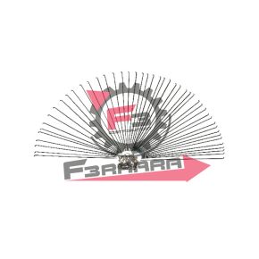 457.305601175 RAGGI 296 X 2 CON NIPPLES (100PZ)