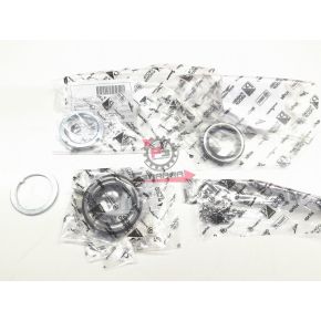 SERIE RALLE CALOTTE STERZO SUPERIORI APE ORIGINALI PIAGGIO 493616