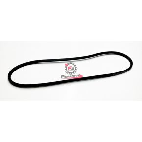 CINGHIA BRAVO CON VARIATORE