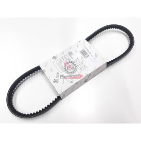 CINGHIA RADIATORE PORTER 1000