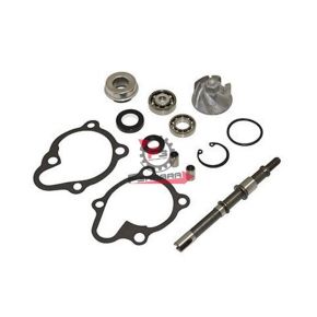 457.403460665 KIT REVISIONE POMPA H2O KYMCO 150 4T