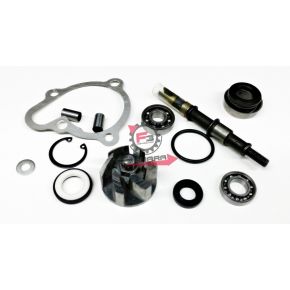 457.403460670 KIT REVISIONE POMPA H2O KYMCO 250 4T