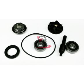 457.403460735 KIT POMPA H2O PIAGGIO 250 06