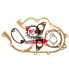 655.610051M004 GUARNIZIONI MOTORE V160GS VSB