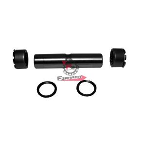 PERNO SNODO FORCELLA MP600/601