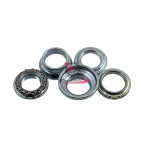 554.0055674 CALOTTE STERZO MALAGUTI F12-F15