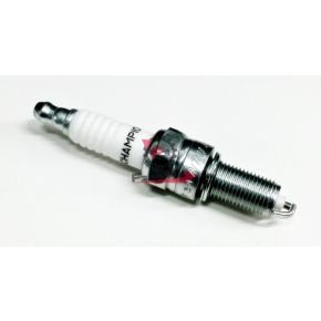 CANDELA RG6YCA CHAMPION (PIAGGIO)