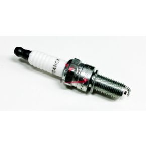 CANDELA RG4HCX CHAMPION (PIAGGIO)