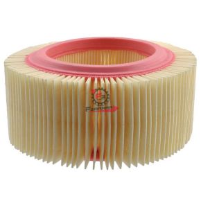 554.0097161 FILTRO ARIA TM703 BENZINA-APE CAR P2