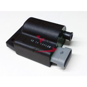 655.969896 CENTRALINA DUCATI ZIP - FREE 100