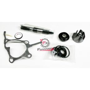 KIT POMPA ACQUA HONDA 250 FORESIGHT