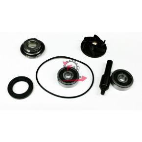 554.0058376C KIT POMPA H2O BEVERLY-VESPA GTS 250