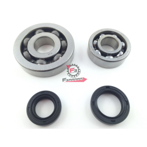 554.0058307 KIT REVISIONE ALBERO MOTORE 50 4T