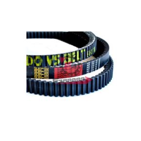 701.273723 CINGHIA HONDA PANTHEON 125/150 2T